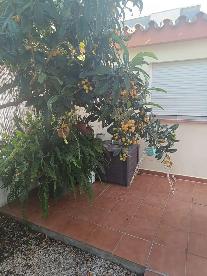 Villa mit Pool zum Verkauf in Los Gallos, imagen 13