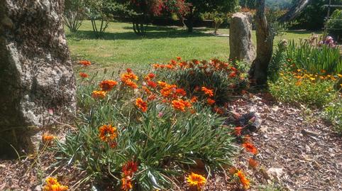 Foto 5 de Finca rústica en venda a Diseminado el Turcal, 1, Torremenga, Cáceres