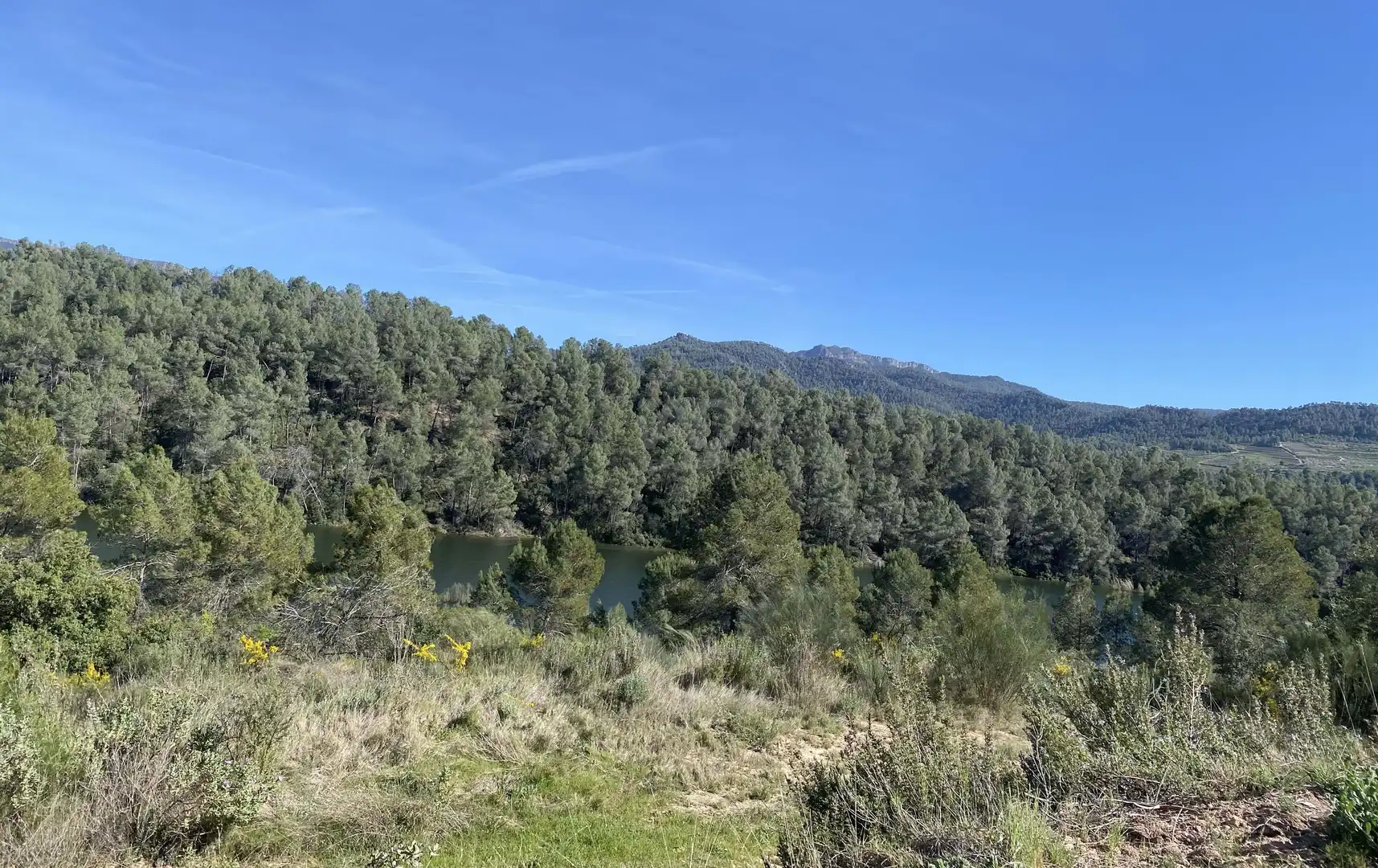 Residencial en venta en Els Guiamets