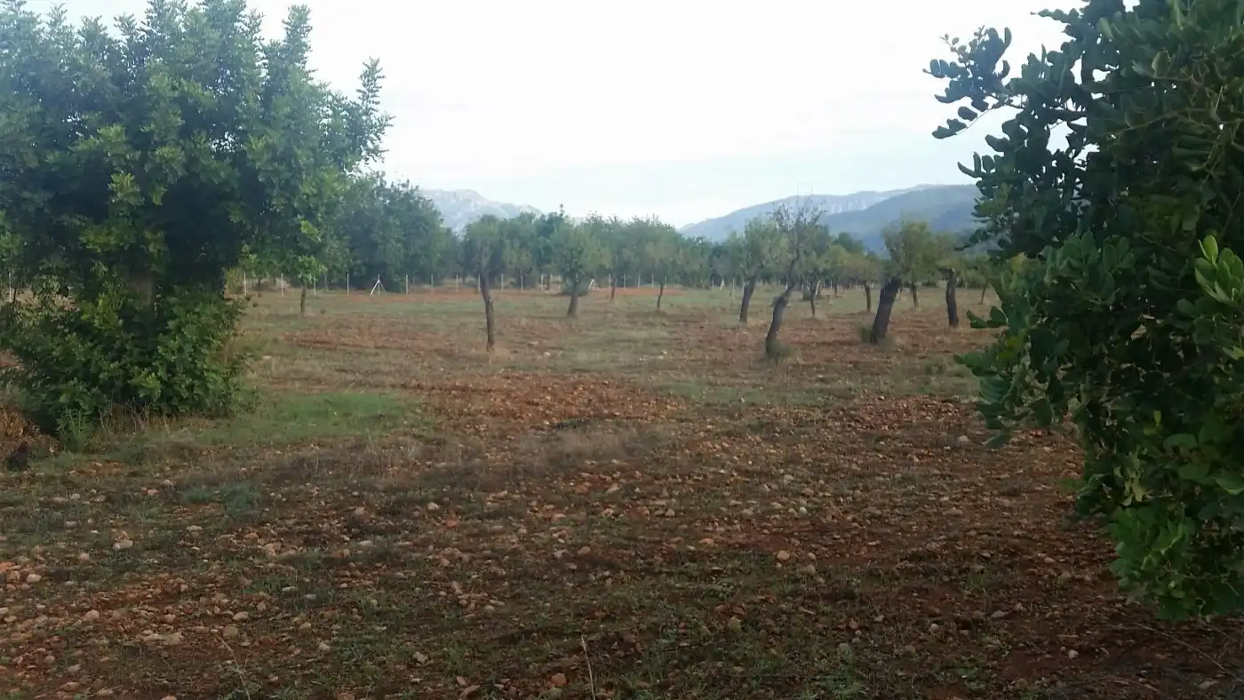 Casa rustica in vendita a Campanet, imagen 15