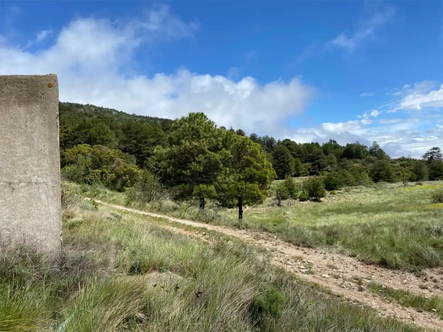 Finca rústica en venda en Arbolí amb Jardí privat