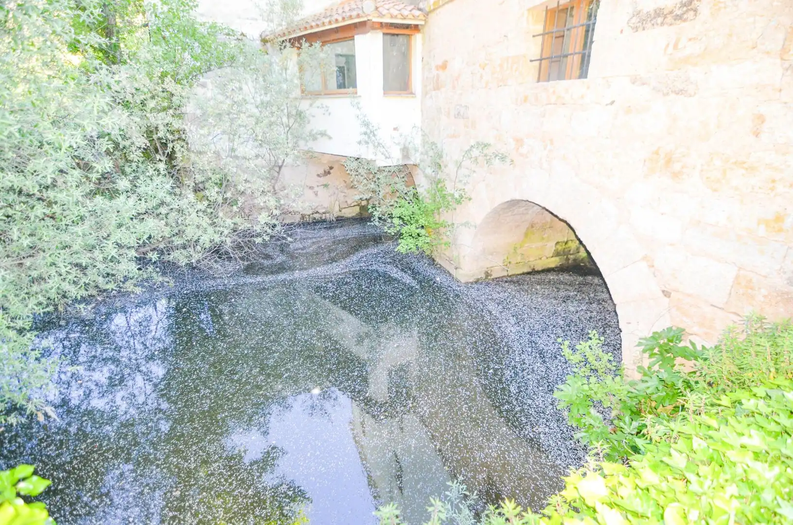 Wohngebäude zum Verkauf in Ciudad Rodrigo, imagen 76