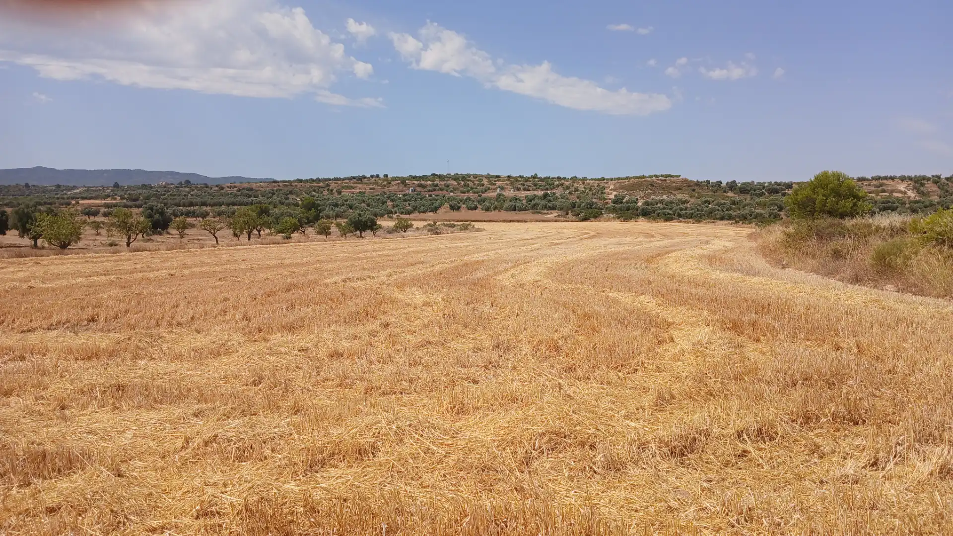 Terreno en venta en Castelserás, Teruel