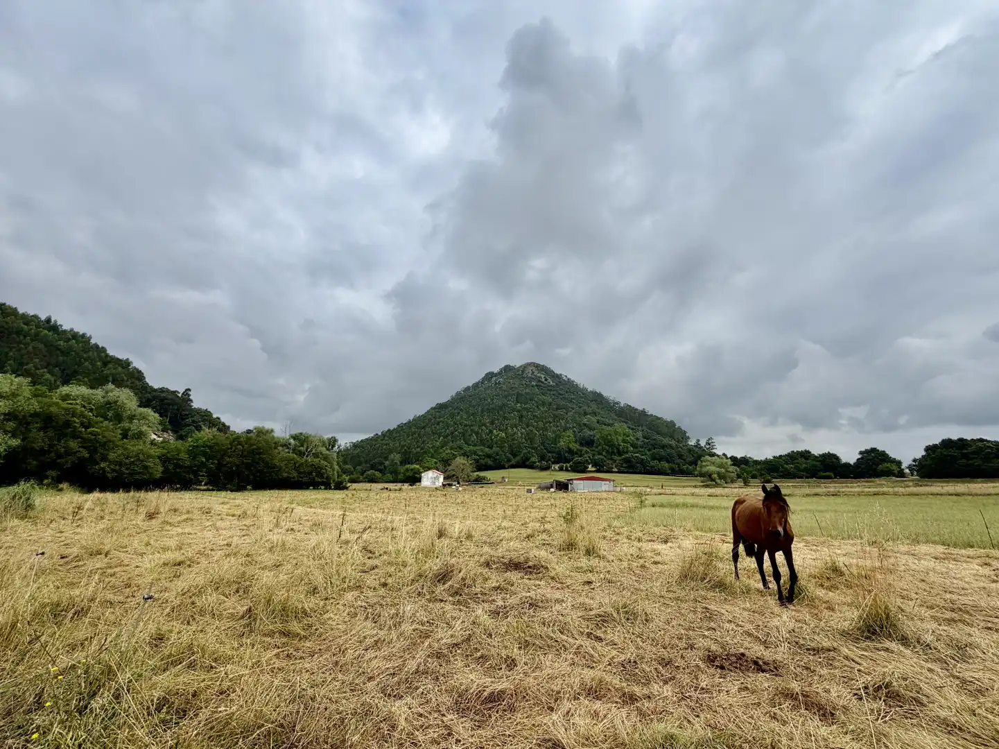 Terreno en venta en Medio Cudeyo