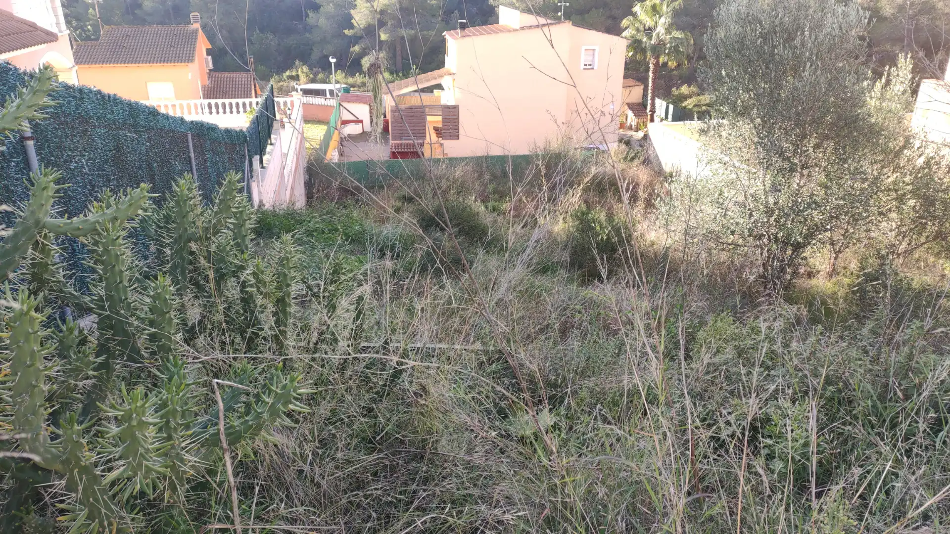Terreny residencial en venda a Carrer Assutzena 19, imagen 5