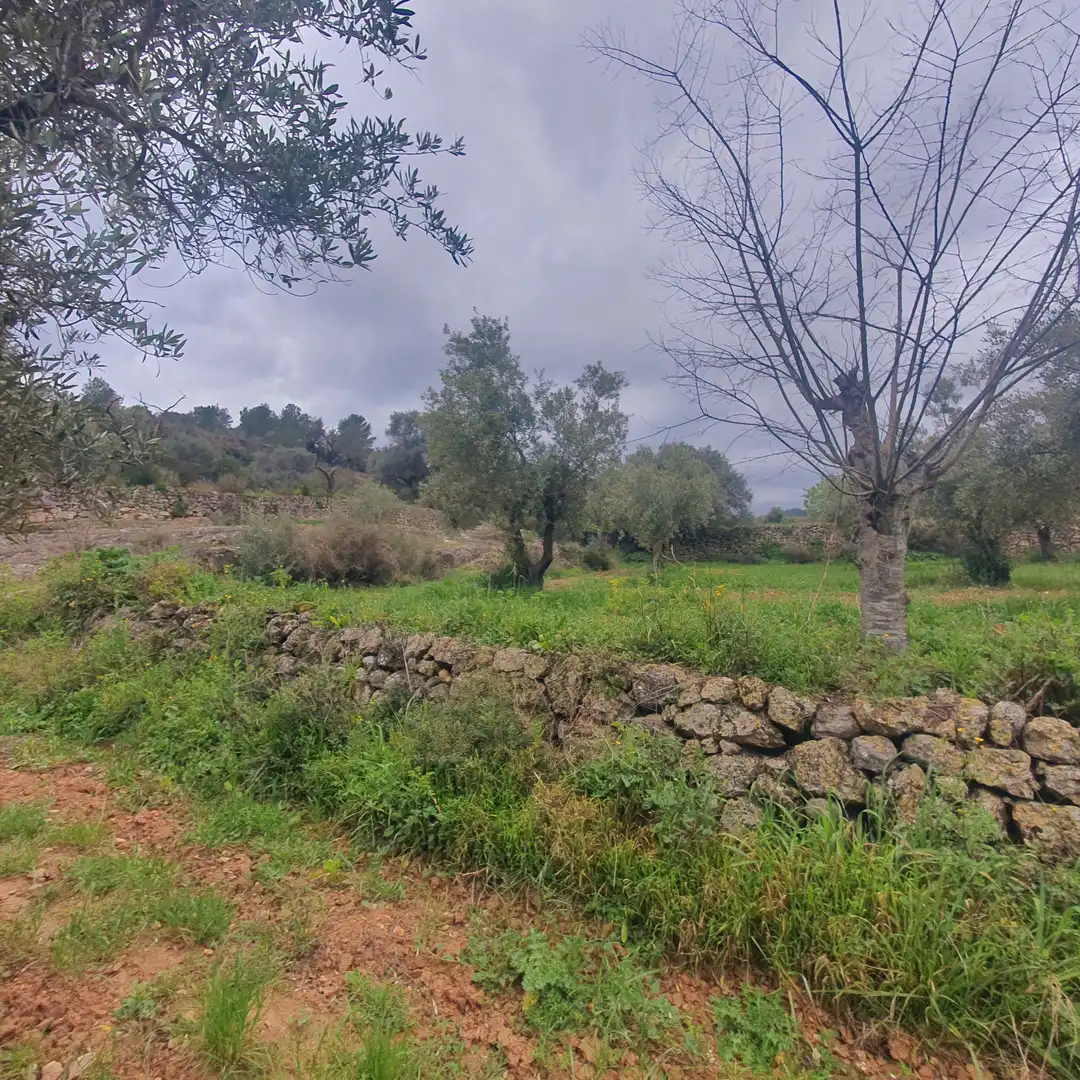 Rustikales Grundstück zum Verkauf in El Pinell de Brai, imagen 9