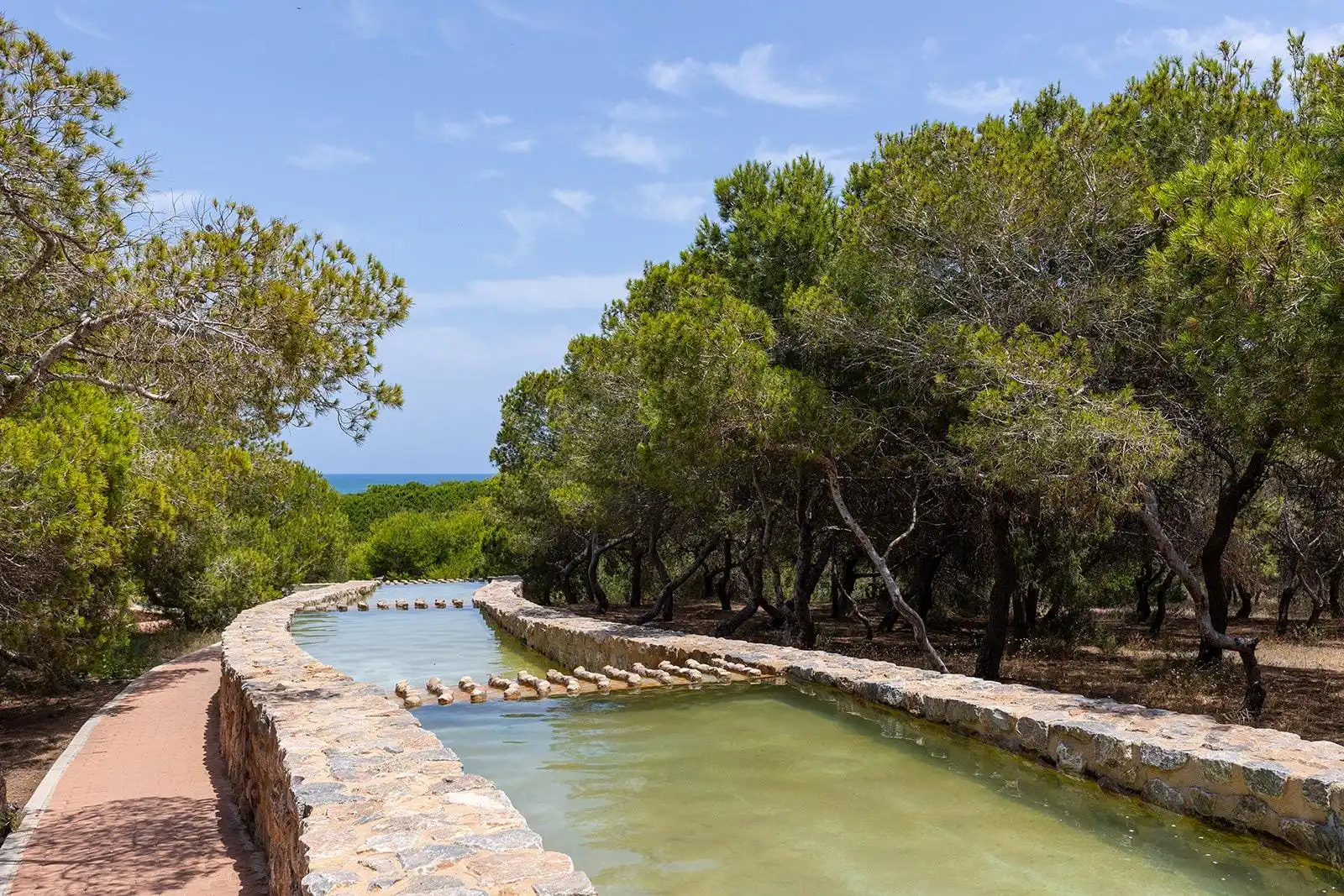 Reihenhaus mit Terrasse zum Verkauf in La Mata, imagen 30