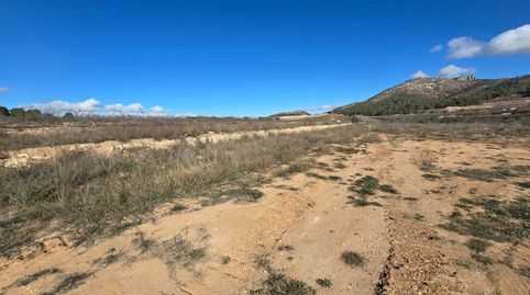 TERRENO RURAL EN VENTA EN LA ROMANETA MONÓVAR, imatge 2