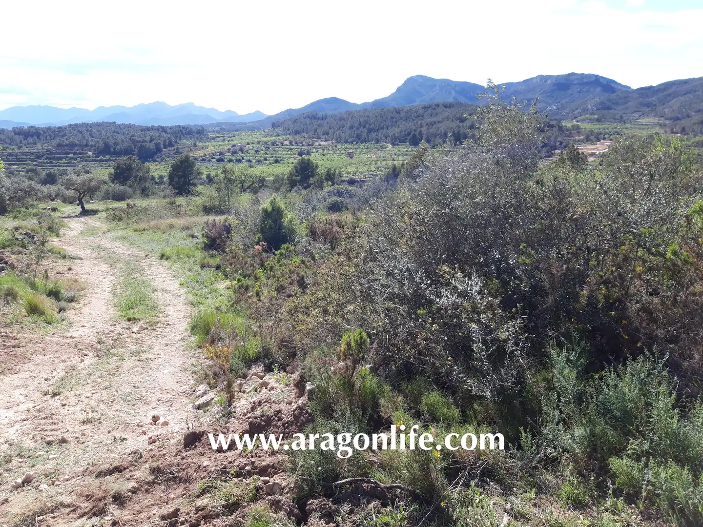 Rural land for sale in C-43, imagen 3