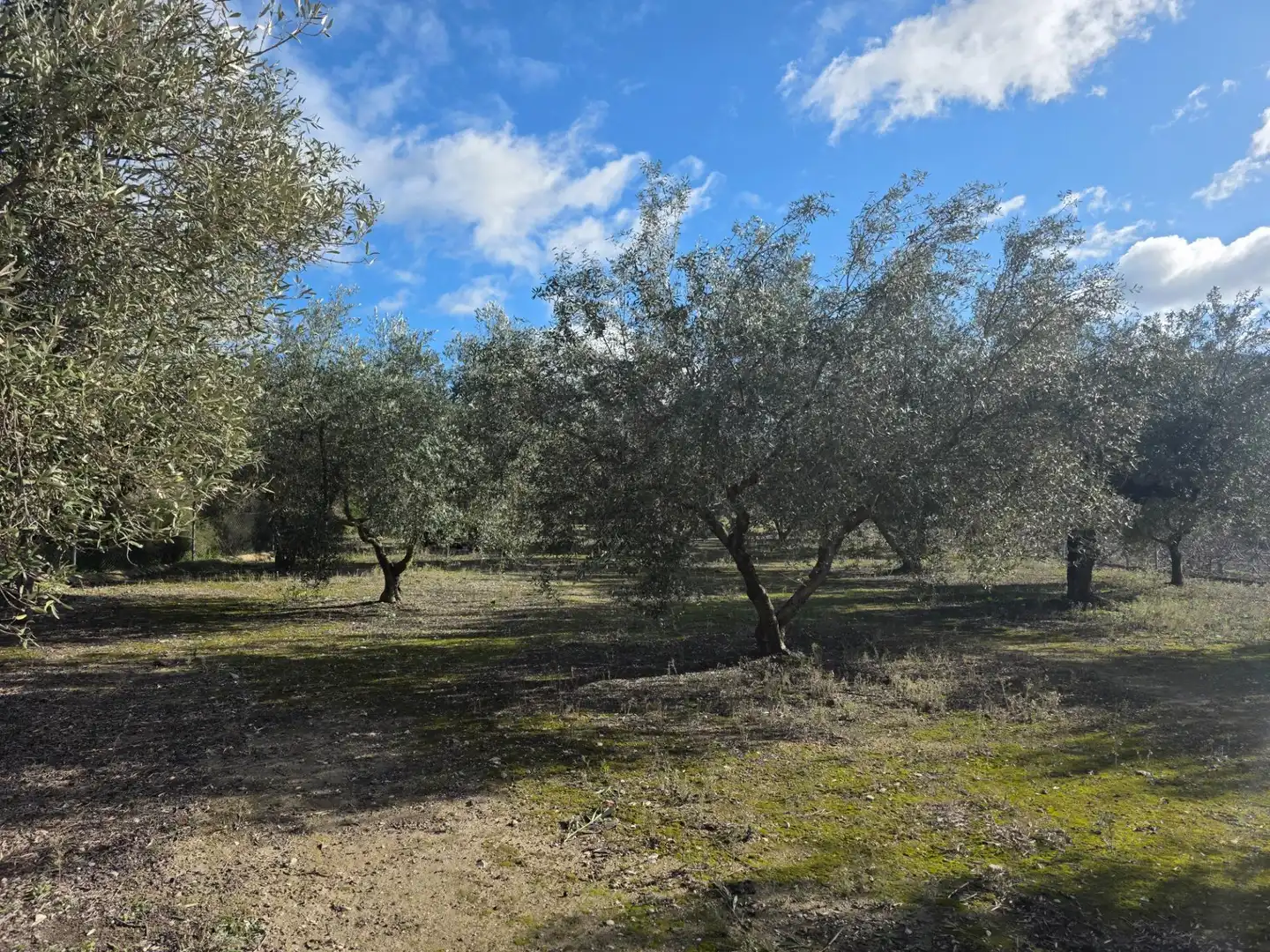 Casa o xalet en venda en Gorga