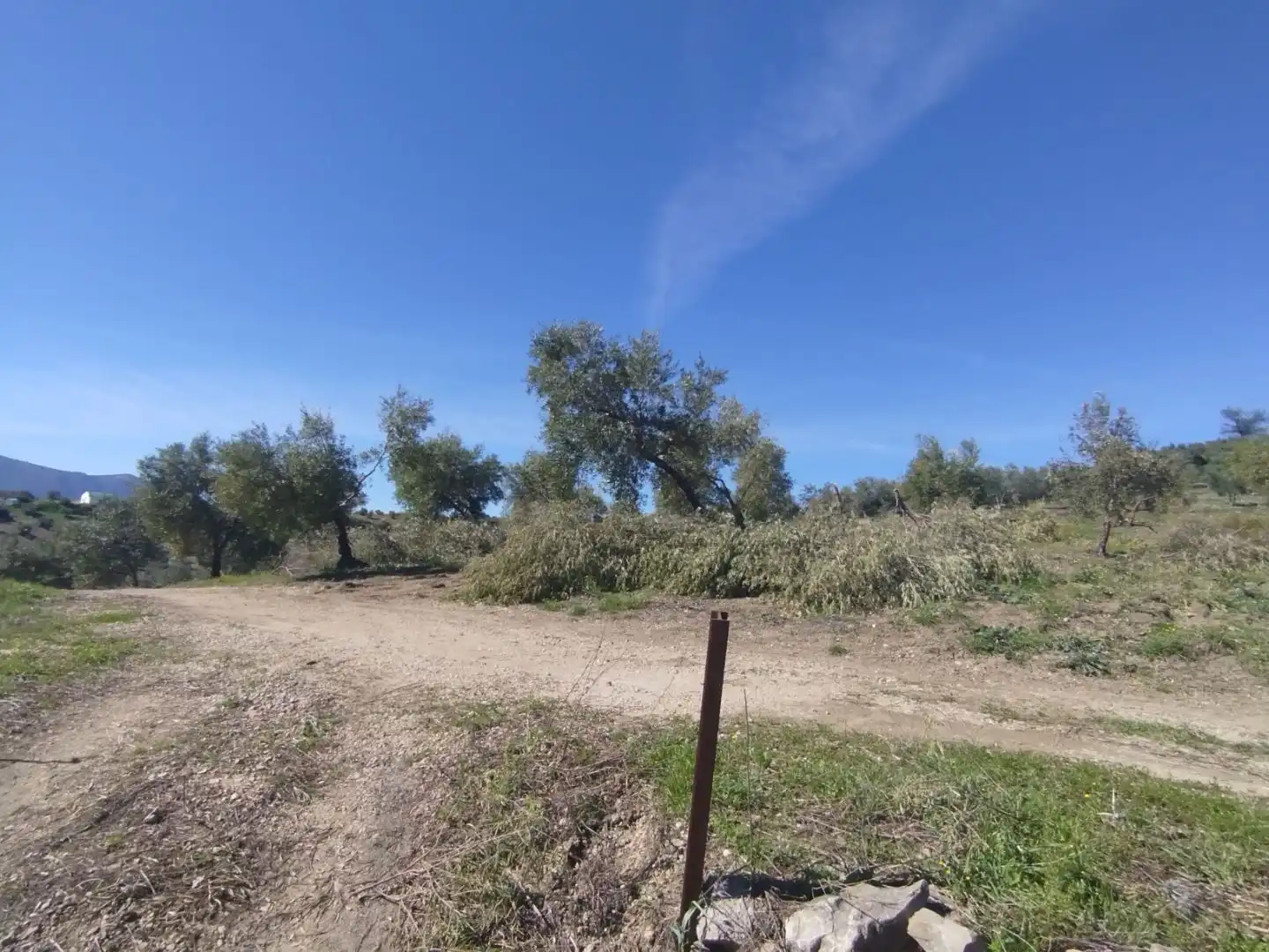 Terreno en venta en Olvera