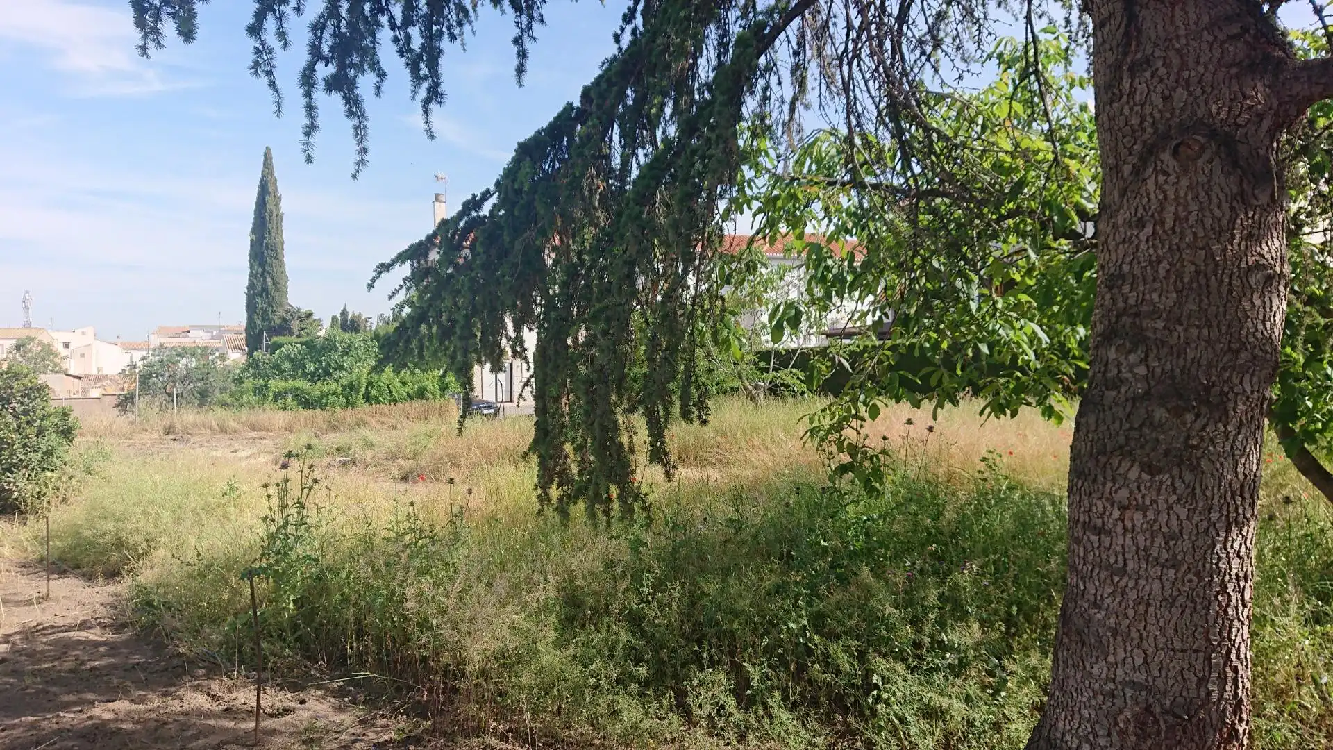 Grundstücke und Bauplätze zum Verkauf in Calle de los Huertos, imagen 2