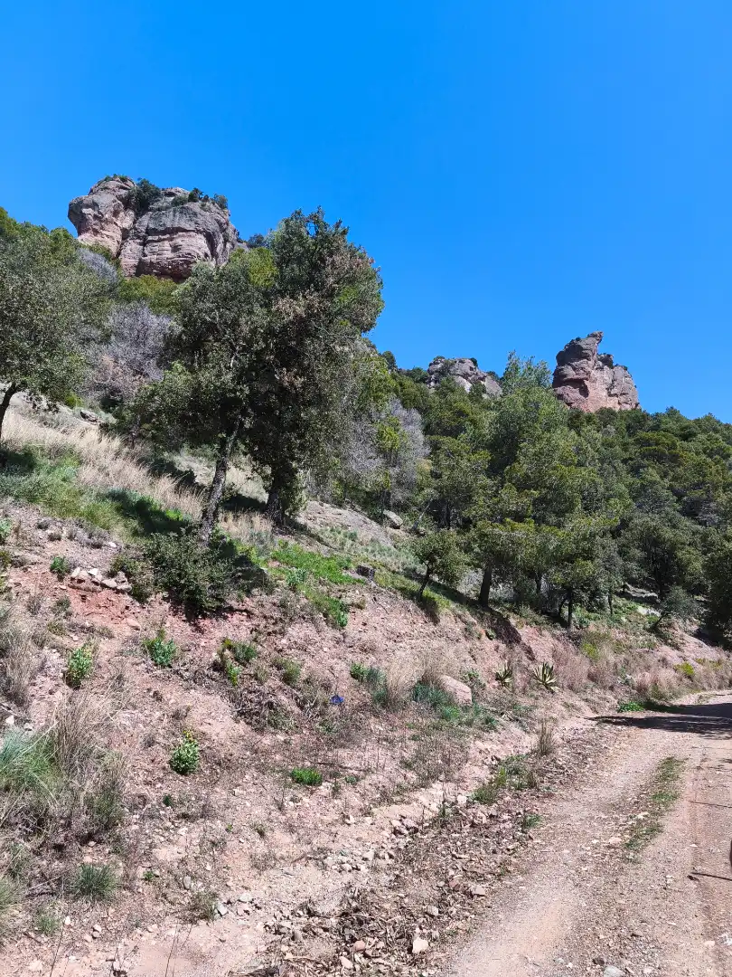 Terrain résidentiel à vendre à Carrer de la Font del Querol 19, imagen 5