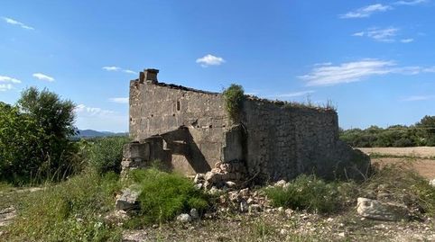 Finca edificable zona Sa Rotana de Manacor, imagen 5