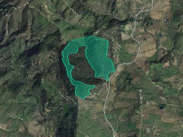 Terreny rústic en venda a Ptda Moralejo - Pol 7 -