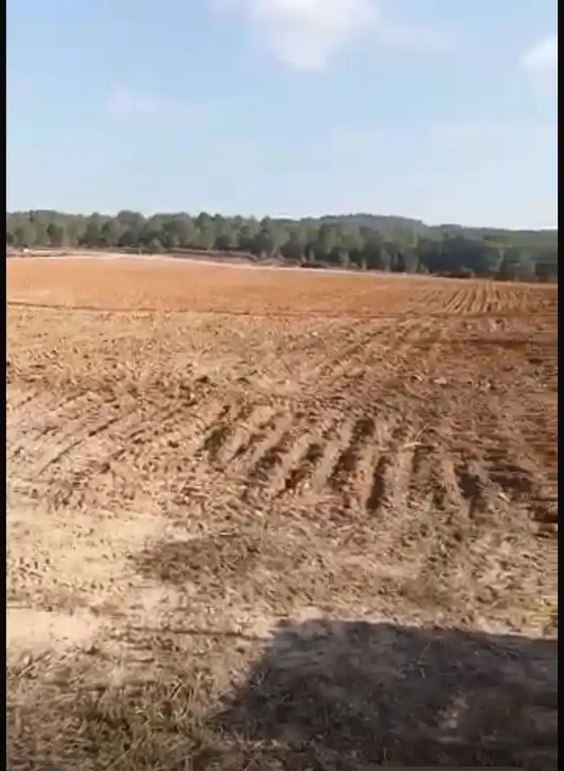Finca rústica en venta en Perafort, Tarragona