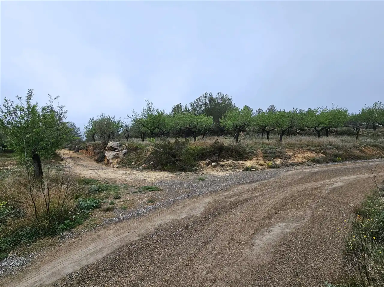 Residencial en venta en Altura