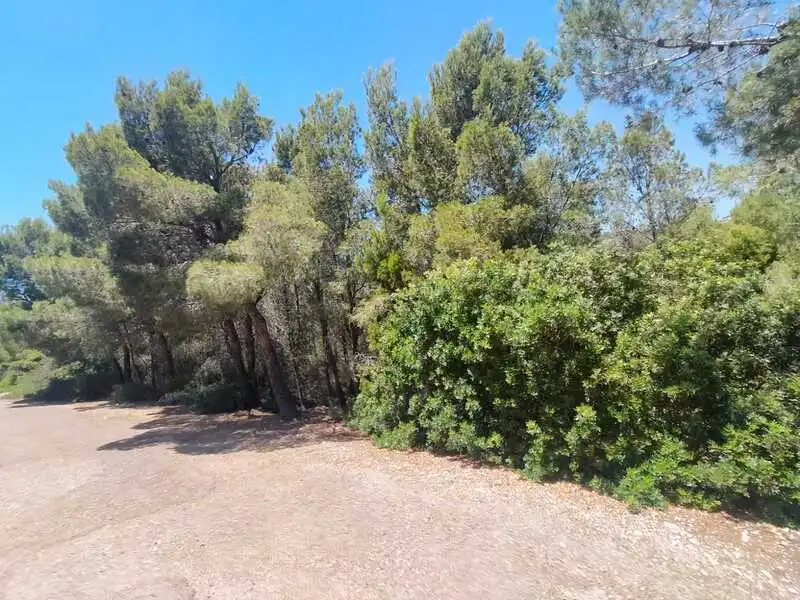 Residential land for sale in EL PINAR, imagen 3