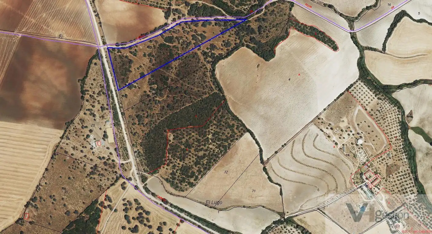Terrenys i solars en venda a Villamartín