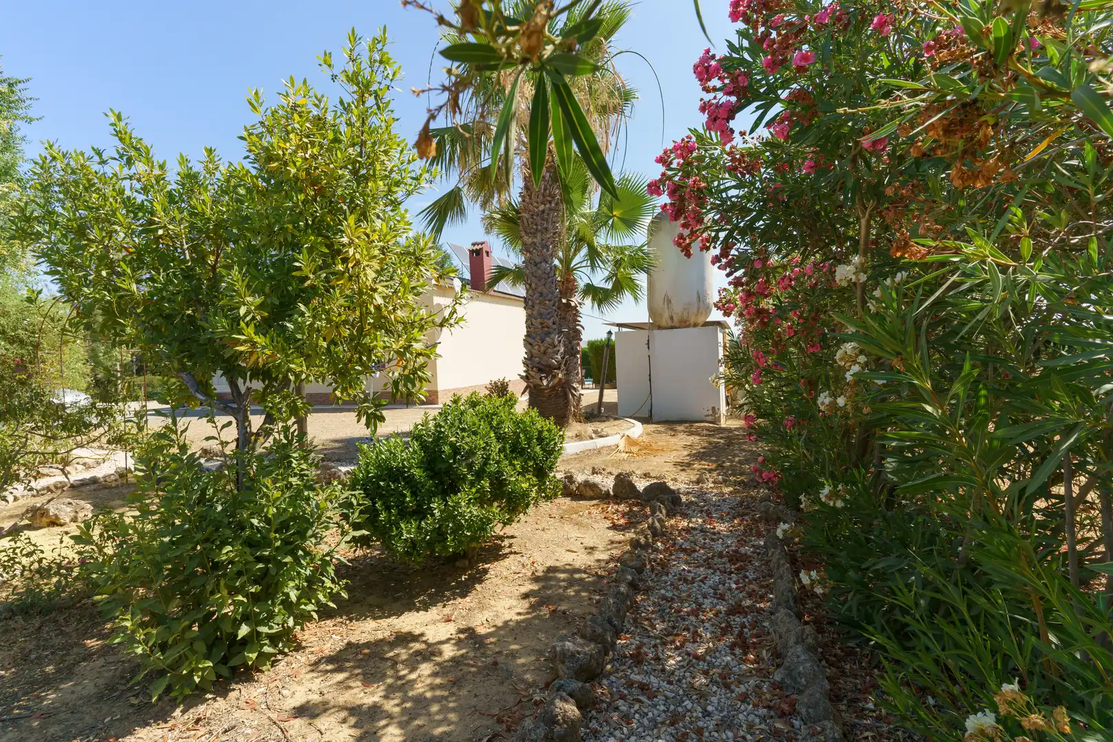 Vista exterior de Finca rústica en venta en La Palma del Condado con Jardín privado, Terraza y Piscina