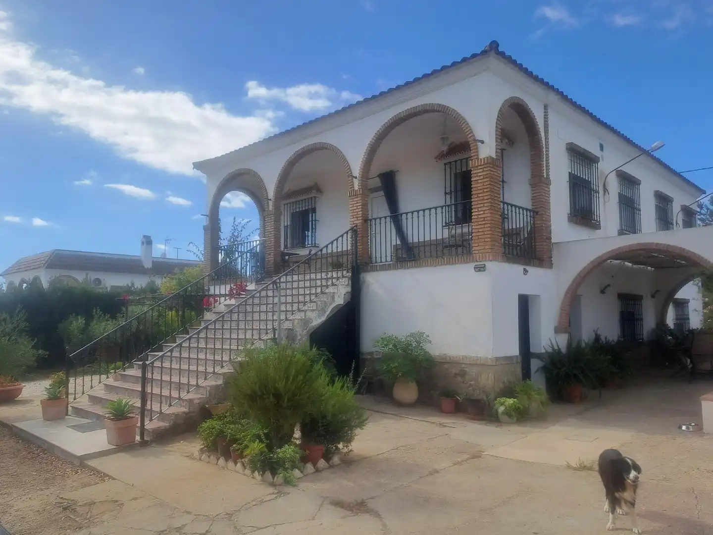 Vista exterior de Casa o xalet en venda en Cantillana amb Aire condicionat, Calefacció i Jardí privat