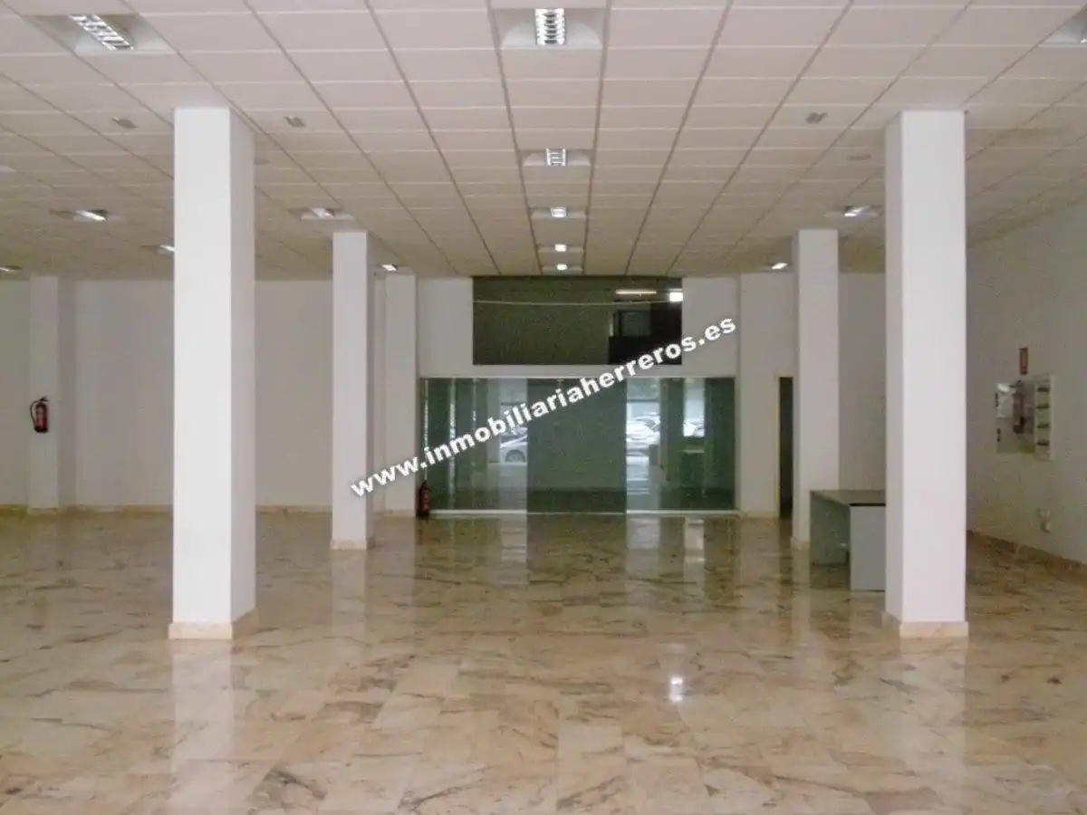 Business premises for sale in PINTOR ROSALES, imagen 2