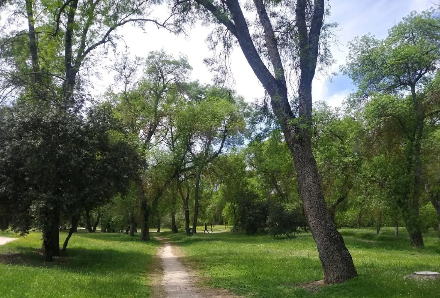 Vista exterior de Estudi de lloguer en Pozuelo de Alarcón amb Calefacció, Piscina i Moblat