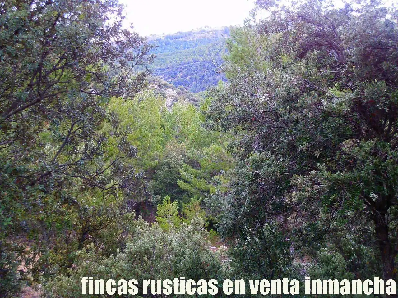Terreni e lotti in vendita a Nerpio, imagen 18