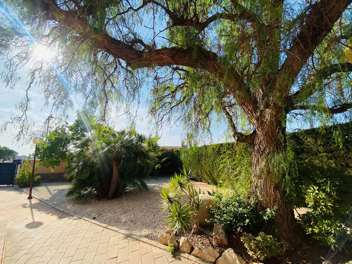 Garden of Houses for sale in Alicante / Alacant  with Air Conditioner, Heating and Terrace