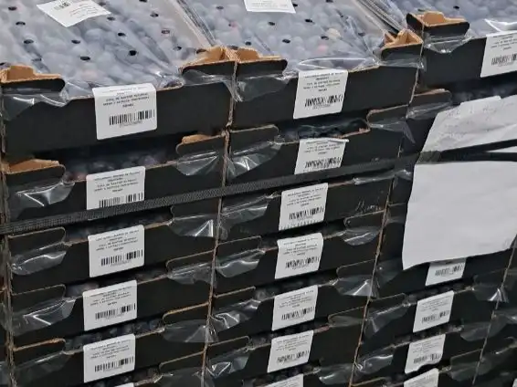 Außenansicht von Grundstücke zum Verkauf in Xermade