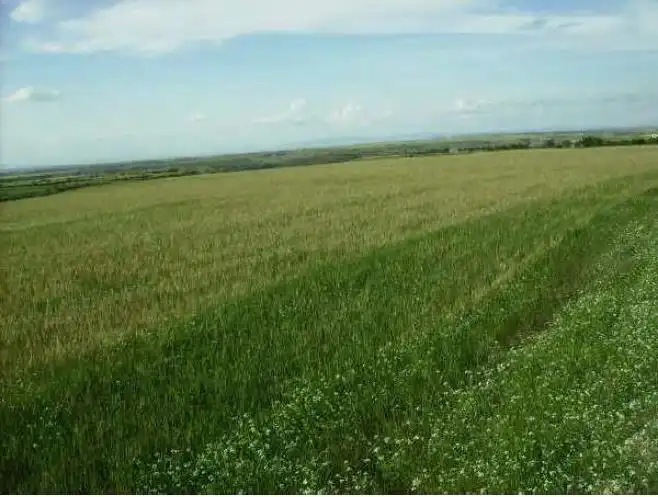 Terreno en venta en Ontiñena