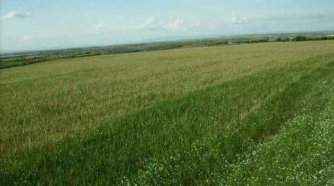 Foto 4 de Terreno en venta en Ontiñena, Huesca