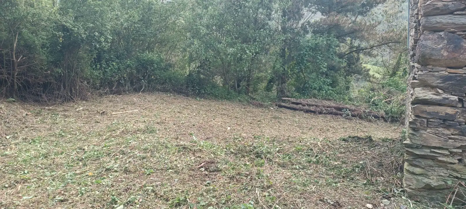 Finca rústica en venta en Vegadeo