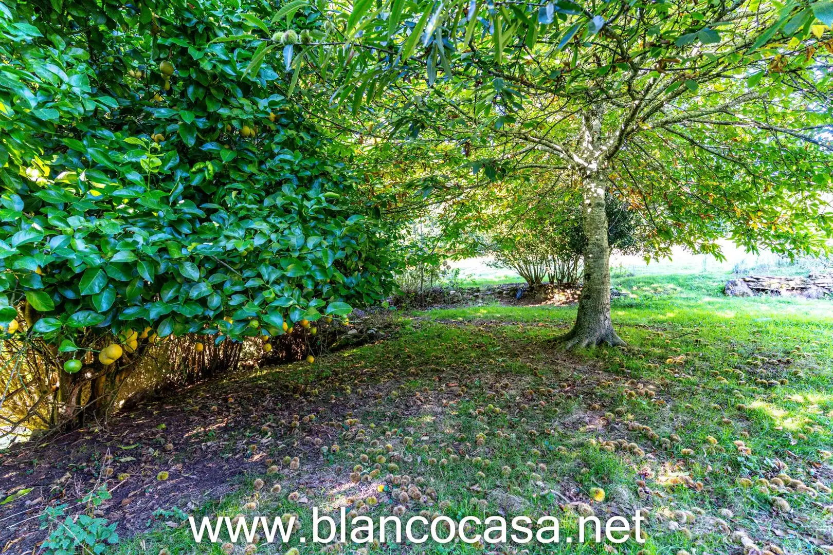 Casa con giardino in vendita a A Laracha, imagen 69