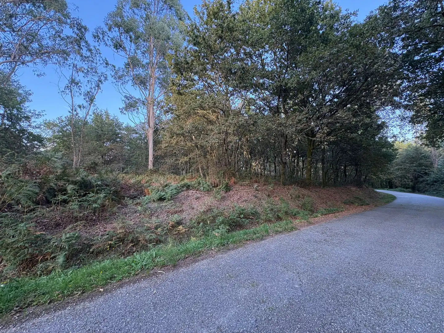 Lands and plots for sale in Mondariz, imagen 6