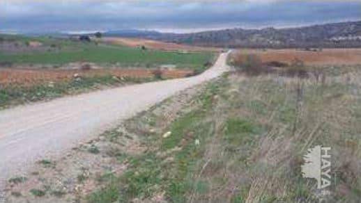 Terreno en Venta en Calle Real Baja, 23 en Membrillera