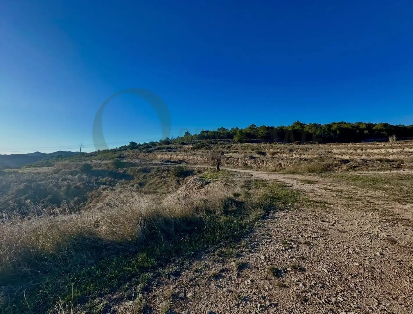 Terreny residencial en venda a Polígono 8, imagen 9