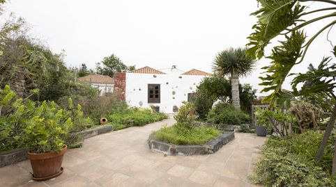 Foto 2 de Finca rústica en venta en La Vega - El Amparo - Cueva del Viento, Icod de los Vinos