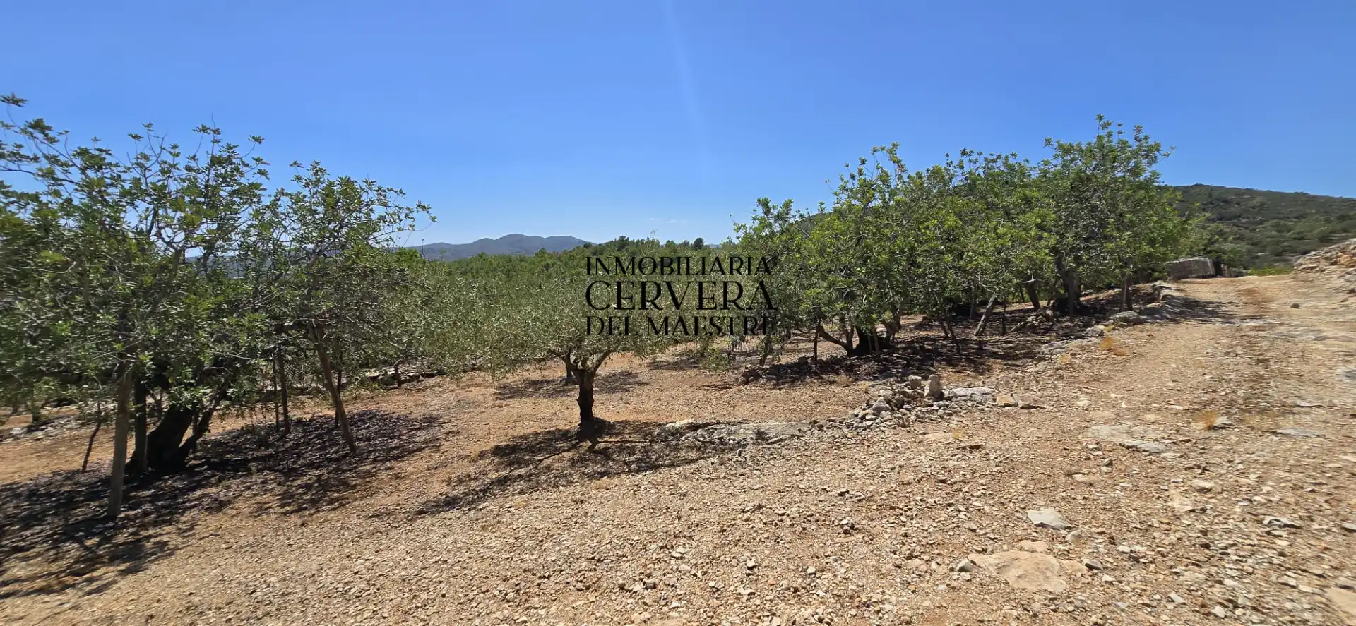 Rural land for sale in Vía Po Polígono 17 60, imagen 19