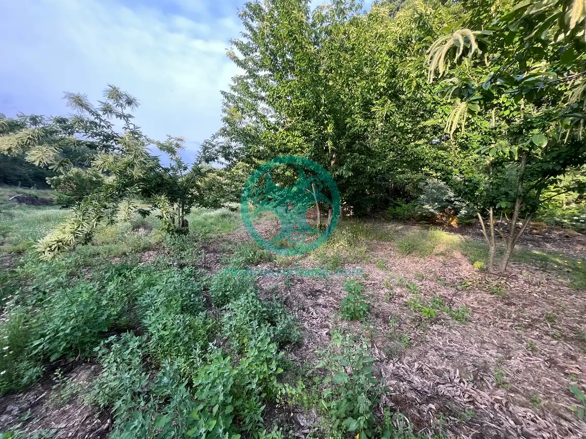Terreni e lotti in vendita a Garganta la Olla, imagen 23