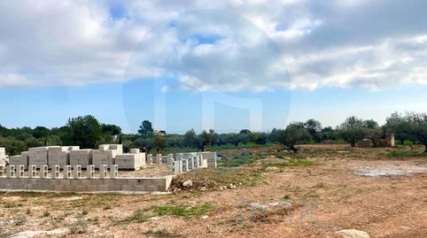 Foto 3 de Finca rústica en venta en Camarles, Tarragona