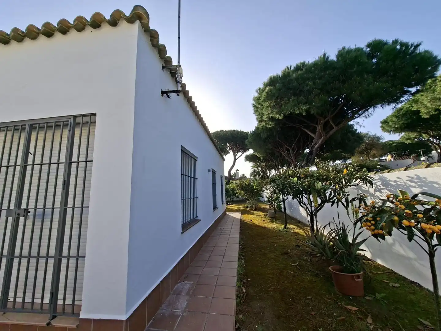 Jardí de Casa o xalet en venda en Chiclana de la Frontera amb Jardí privat
