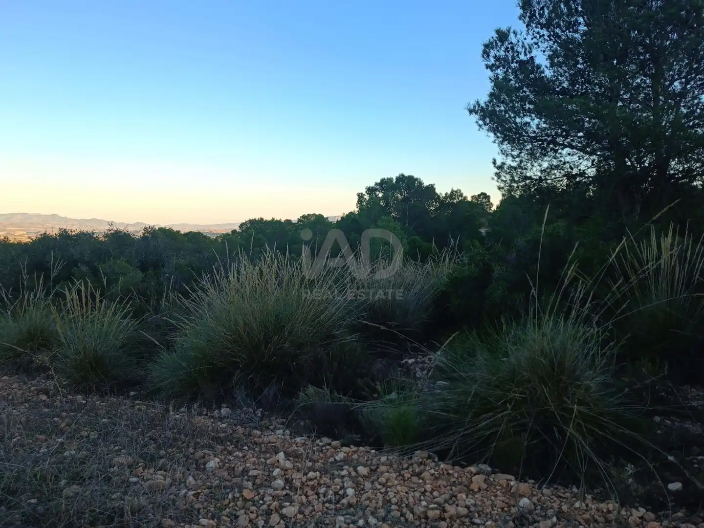 Terreno en venta en Lorca