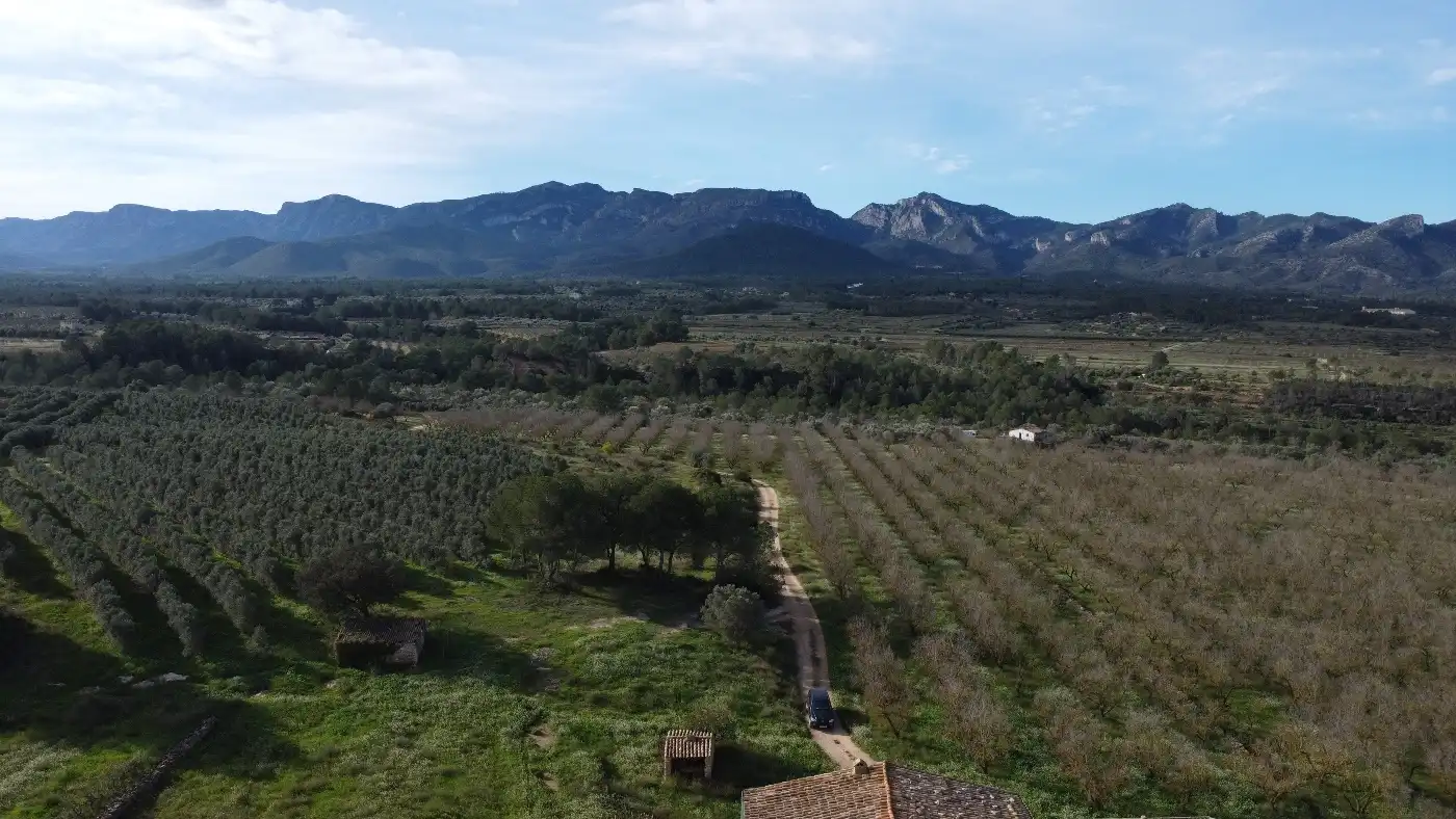 Terreno en venta en Tivissa