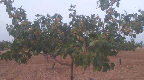 Photo 3 of Land for sale in Calle Quintanar de la Orden, 2, La Reconquista, Toledo