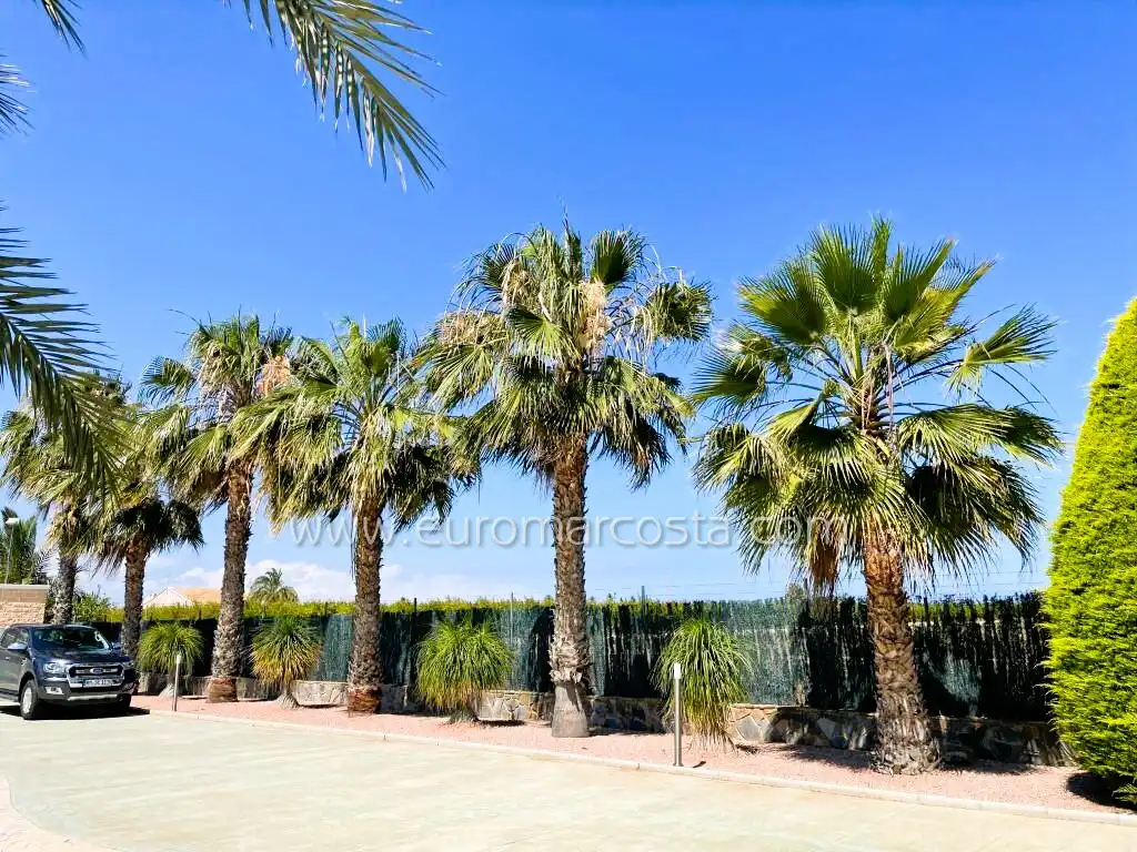 Exterior view of Houses for sale in Elche / Elx  with Air Conditioner, Heating and Private garden