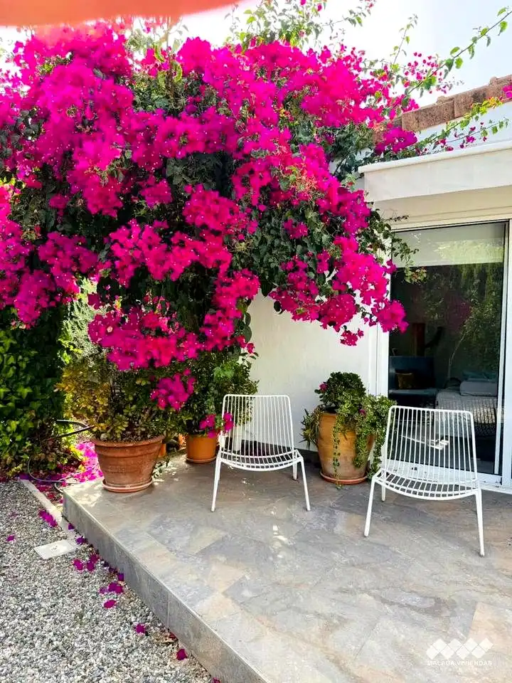 Maison avec piscine à vendre à Manantiales - Lagar - Cortijo, imagen 14