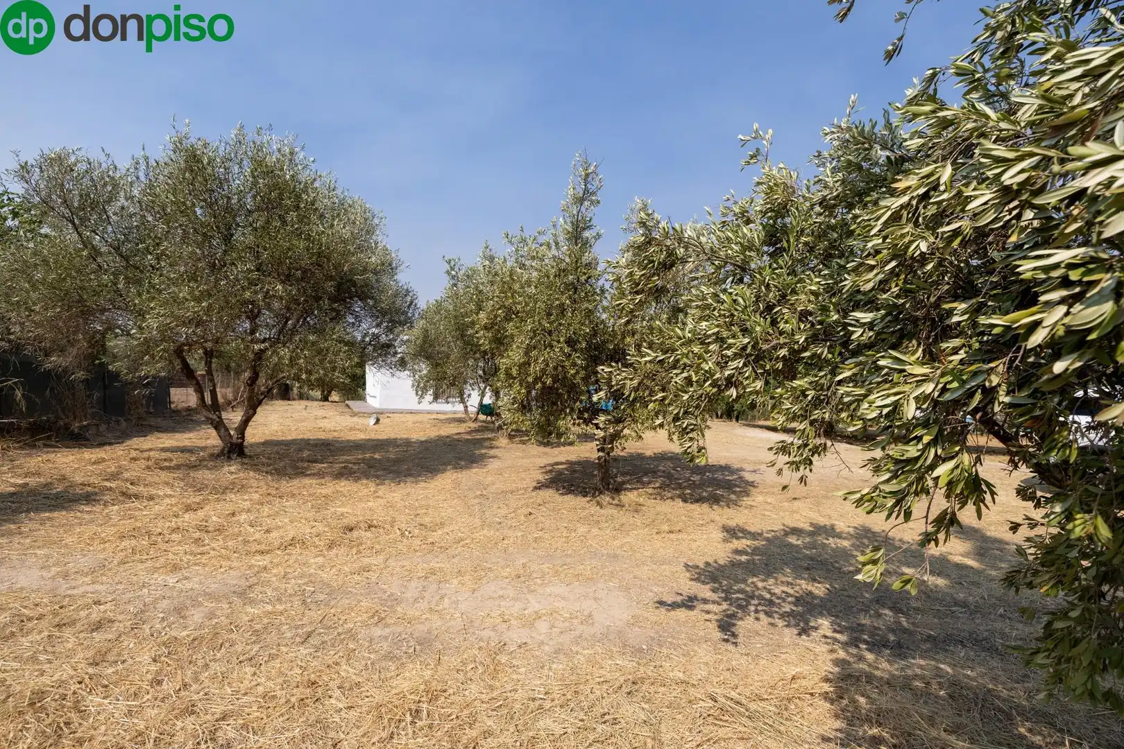 Finca rústica en venda a Calle de Moraleda a Cómpeta, Moraleda de Zafayona