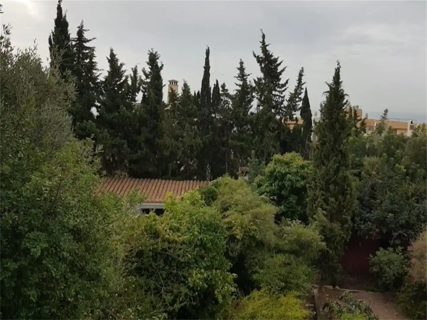 Jardín de Casa o chalet en venta en  Palma de Mallorca