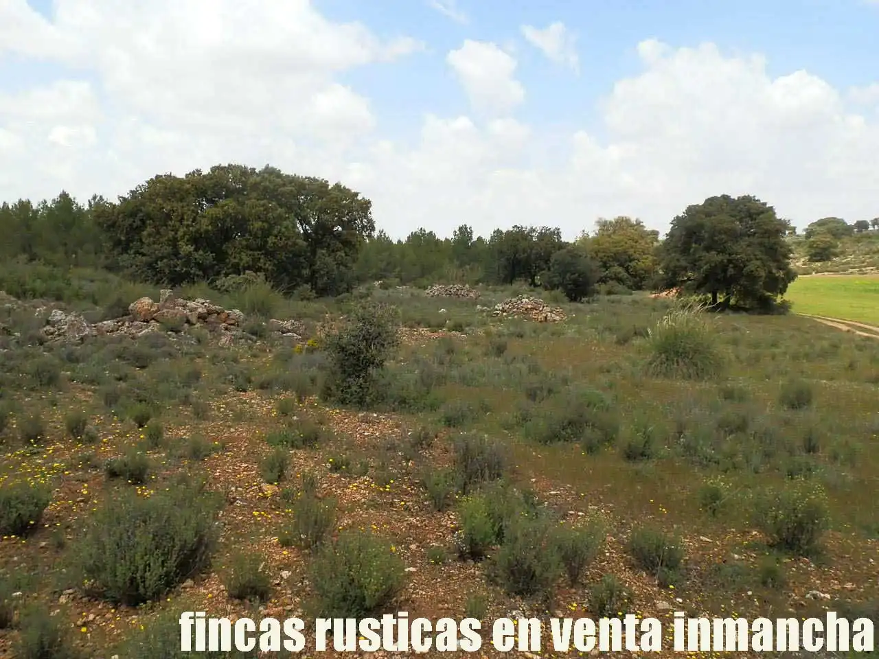 Terreno rustico in vendita a Ruidera, imagen 13